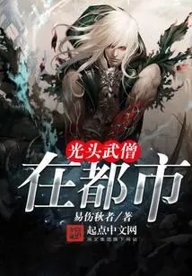 光头武僧在都市