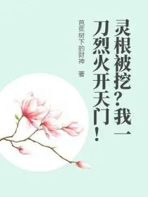 灵根被挖?我一刀烈火开天门!