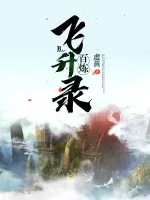 百炼飞升录