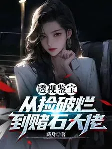 透视鉴宝：从捡破烂到赌石大佬