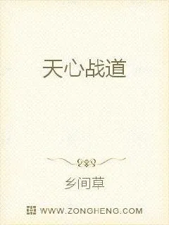 天心战道