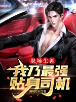 职场生涯：我乃最强贴身司机